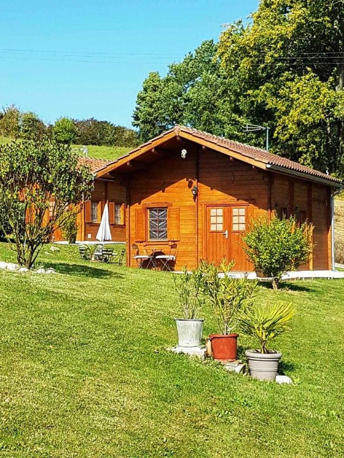 Chalet Charmant A Dausse Avec Piscine Et Jardin المظهر الخارجي الصورة